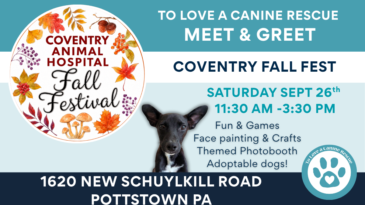Coventry Fall Fest
