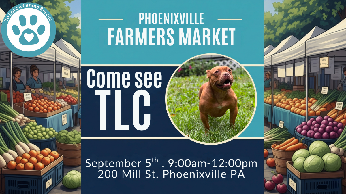 Phoenixville Farmers Market