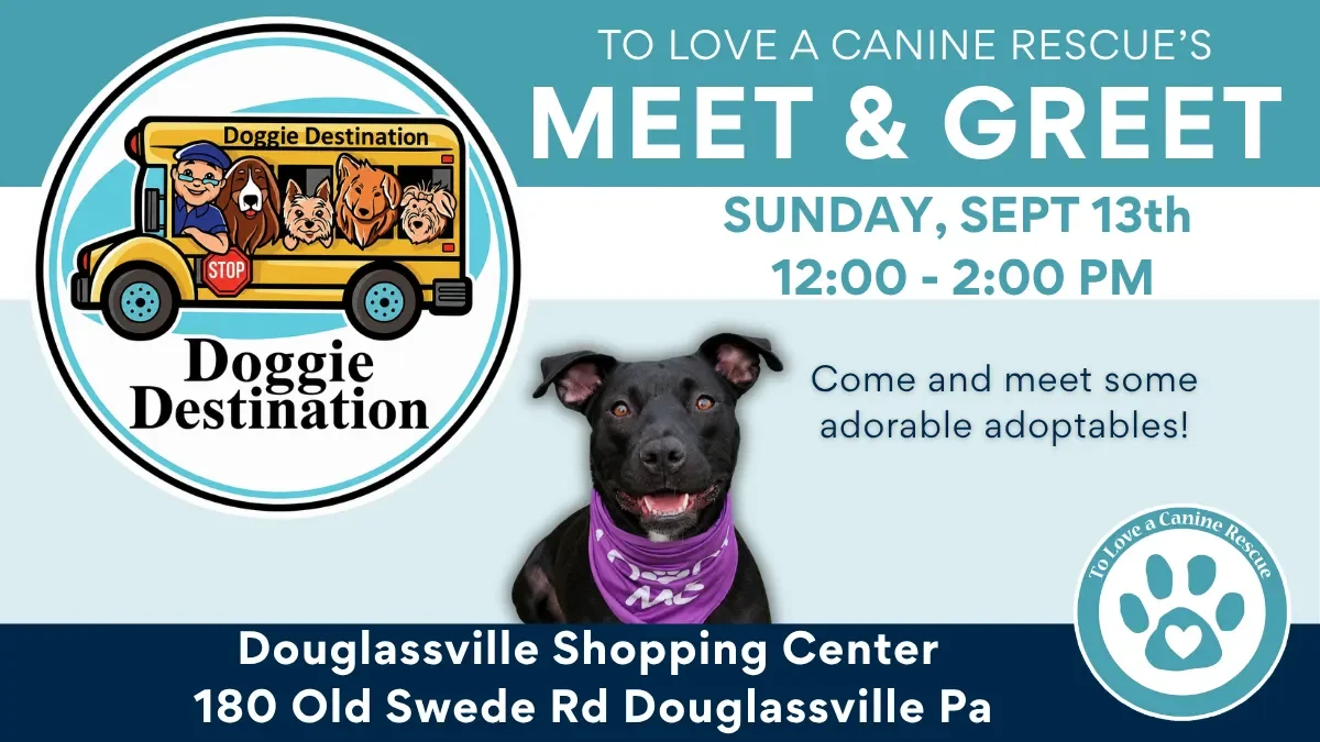Doggie Destination (Douglassville) 