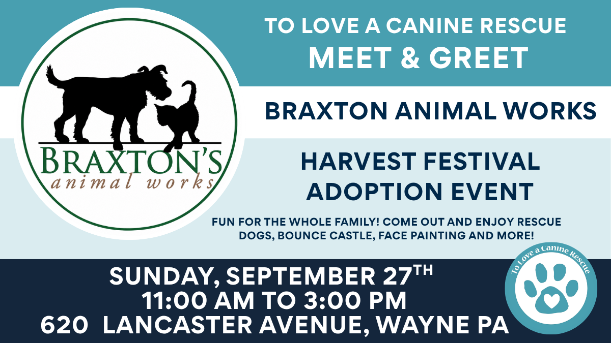 Braxton Animal Works - Harvest Festival