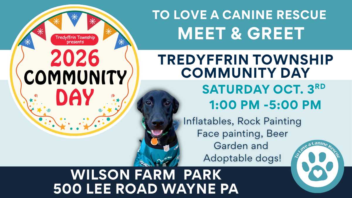 Tredyffrin Community Day