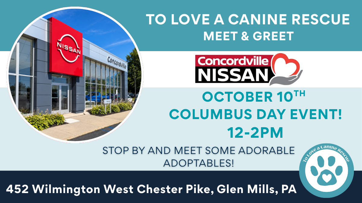 Concordville Nissan