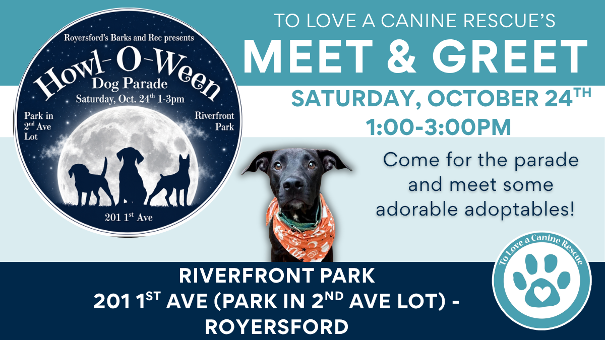 Howl-O-Ween Dog Parade - Royersford
