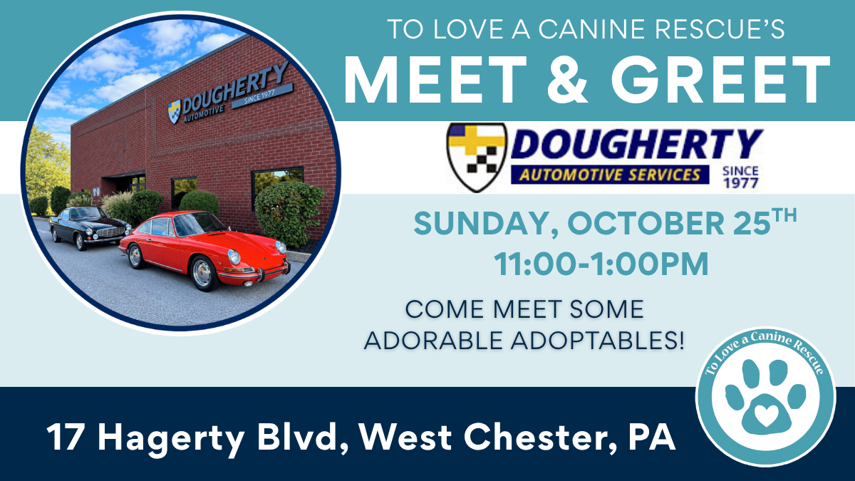 Dougherty Automotive Services - Meet and Greet
