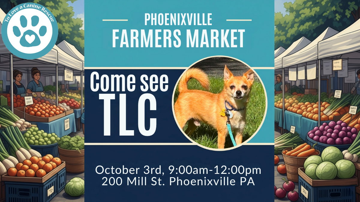 Phoenixville Farmers Market