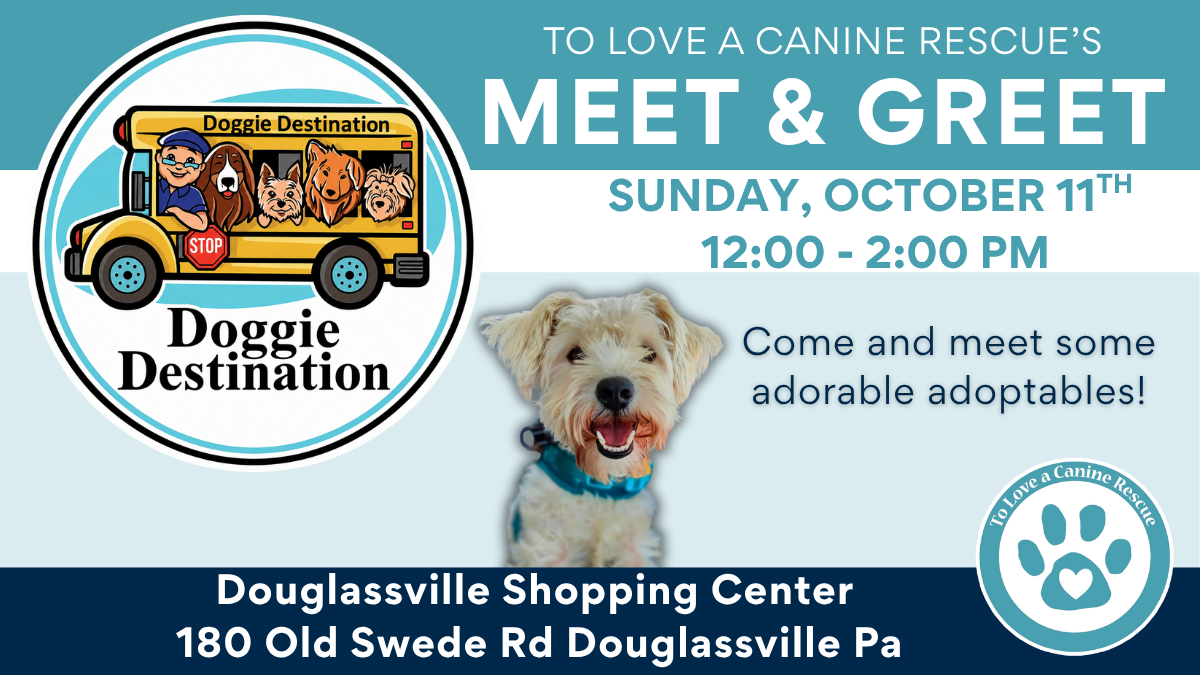 Doggie Destination (Douglassville) 