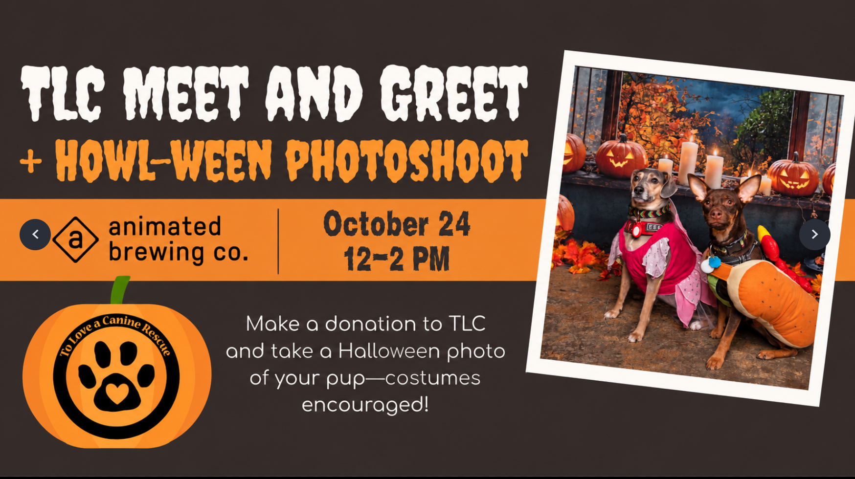 TLC Meet &amp; Greet - Howl-Ween photoshoot