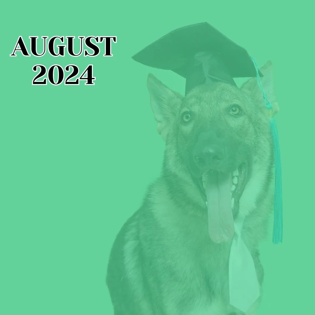 TLC August 2024 Newsletter