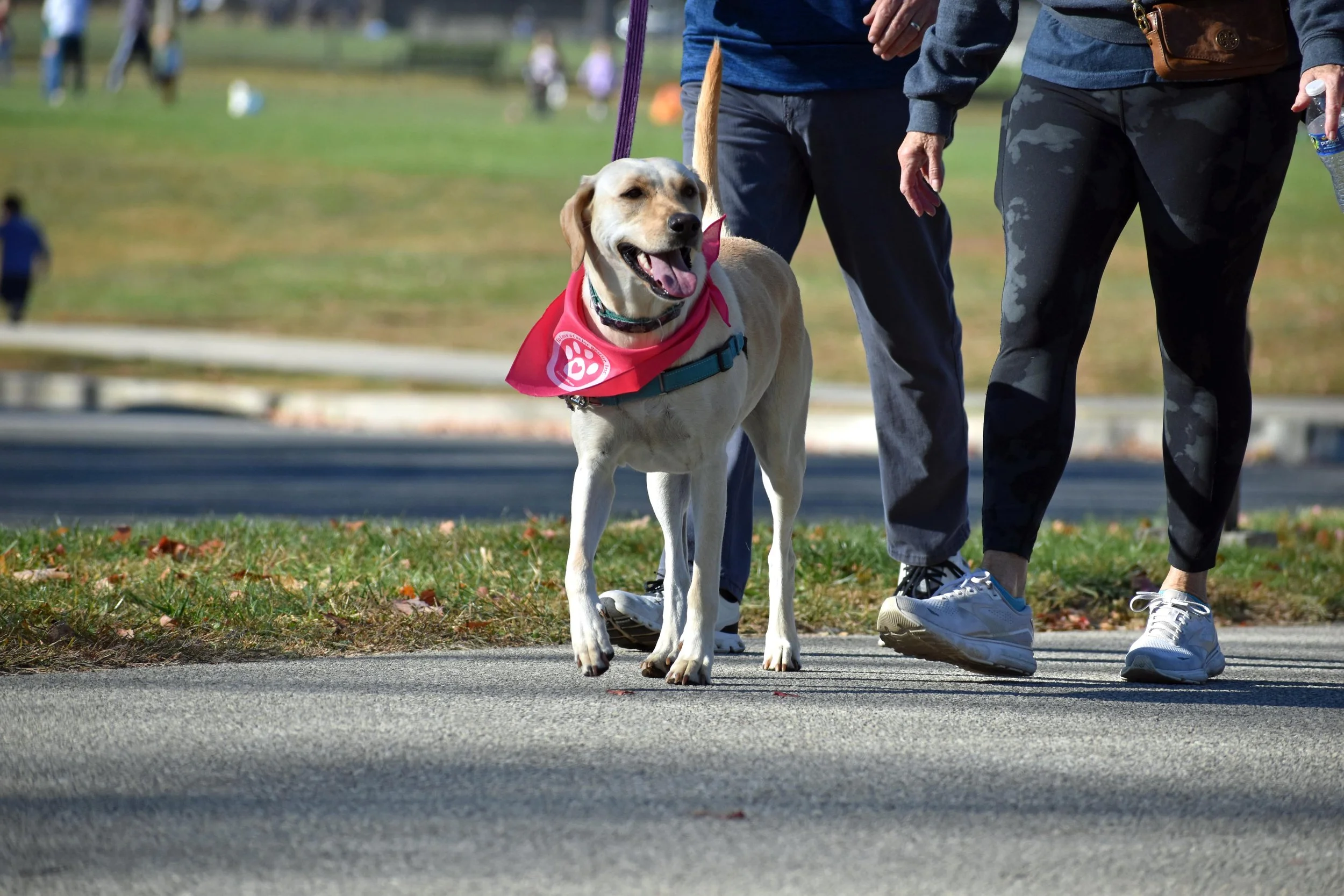 milesformutts-gallery-Miles for Mutts 2024 5k 5.jpg