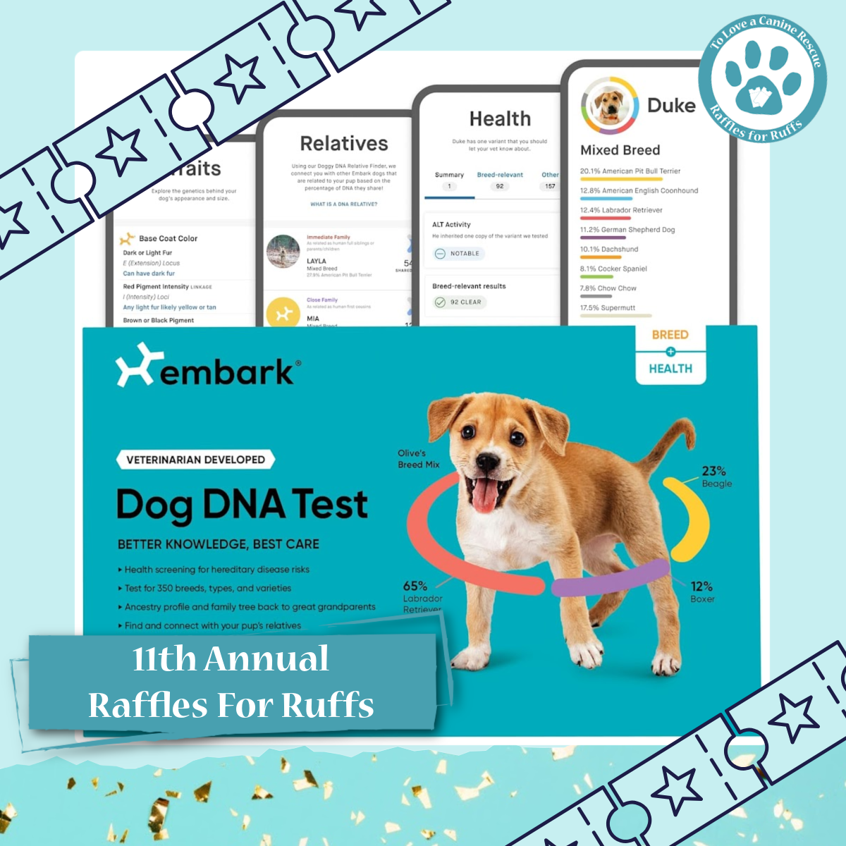14 - Embark DNA Test.png