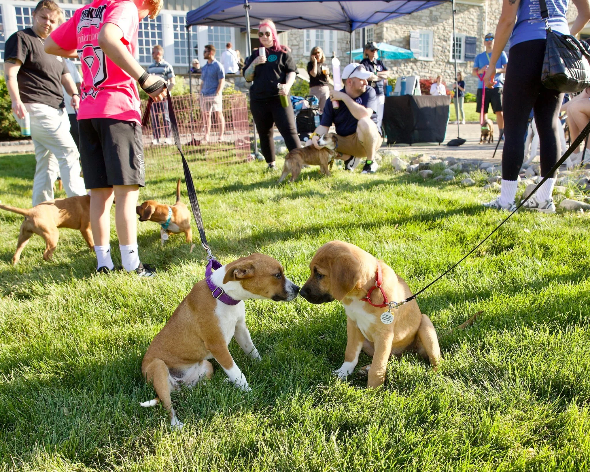 putts-for-pups-event-photos-gallery-Putts for Pups 20.jpg