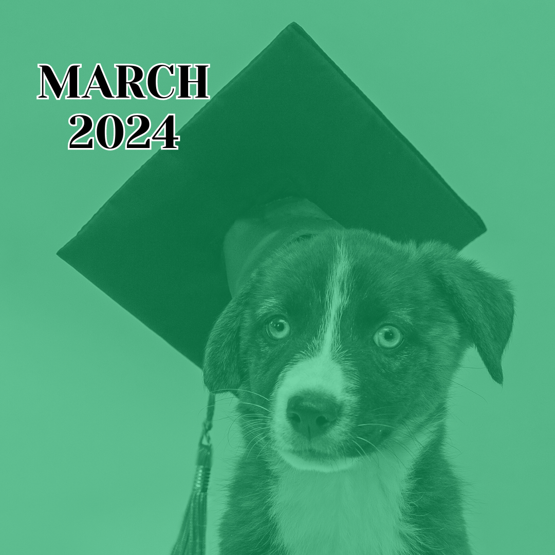 TLC March 2024 Newsletter