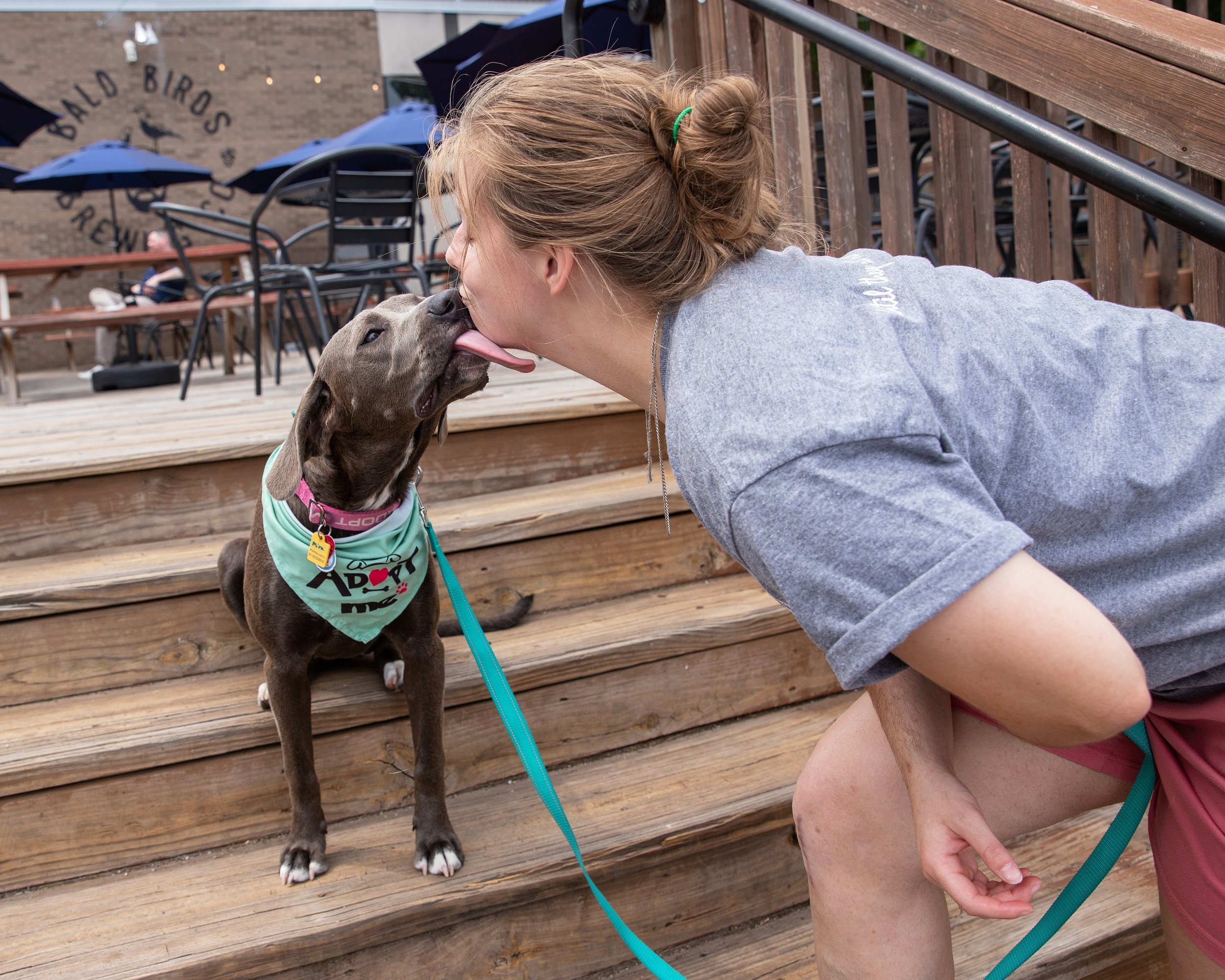 puppypalooza-gallery-Nattie 5 (2).jpg