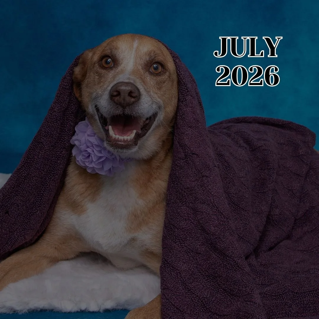 TLC Newsletter - July 2026
