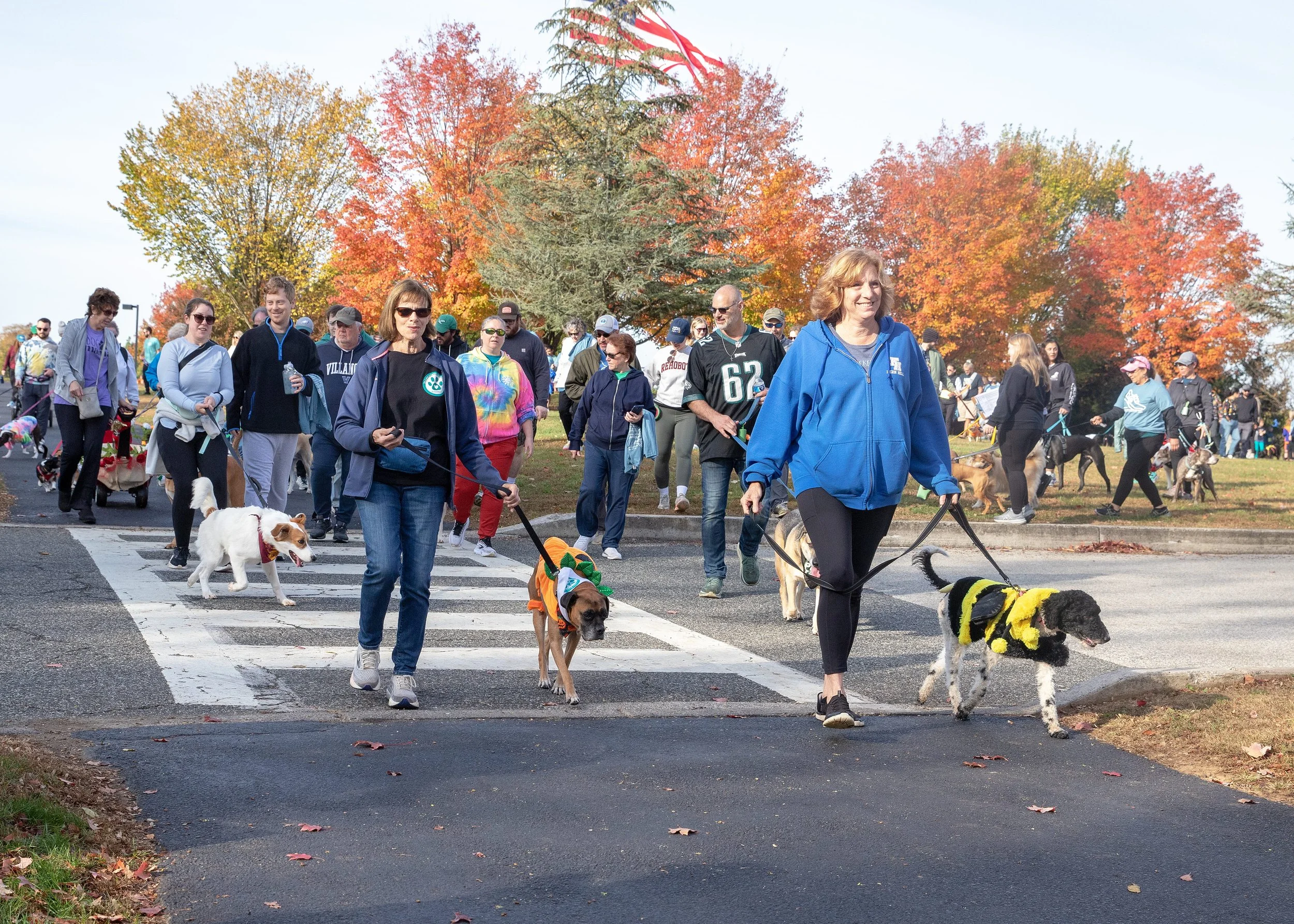 Miles for Mutts 2026 Carousel 18.jpg