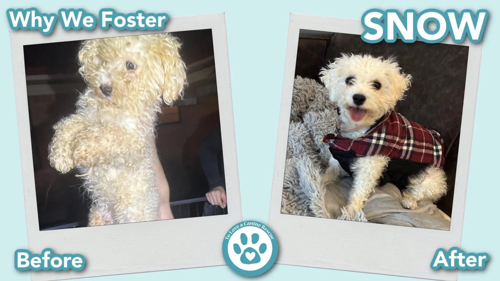 donate-gallery-SNOW (Before&After) - for website  copy.jpg
