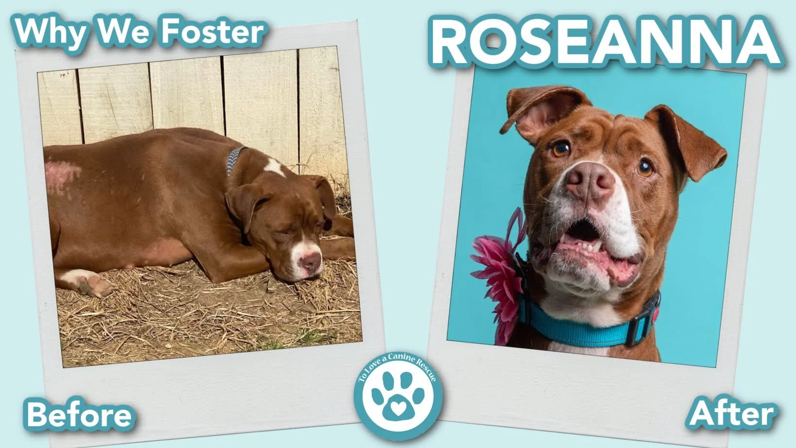 Roseanna (Before&After) - for website copy.jpg