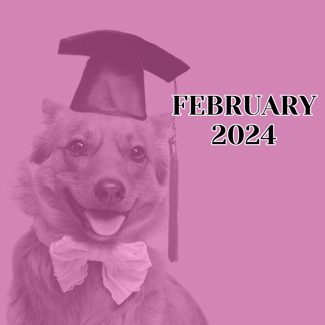 TLC February 2024 Newsletter