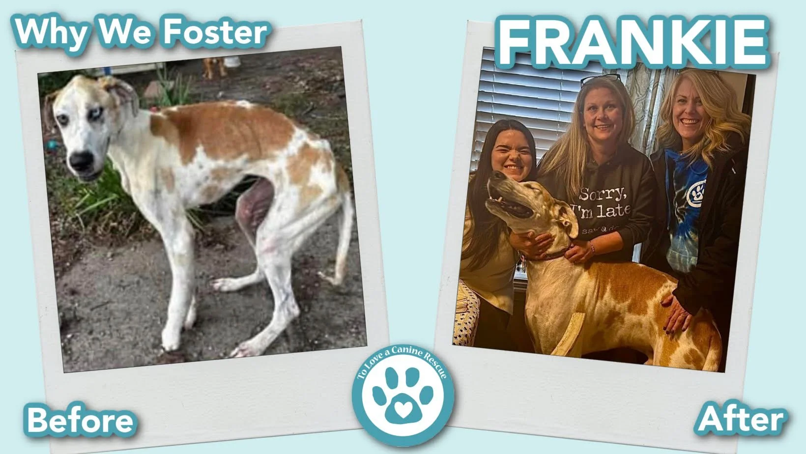 donate-gallery-Frankie (Before&After) - for website  copy (8).jpg