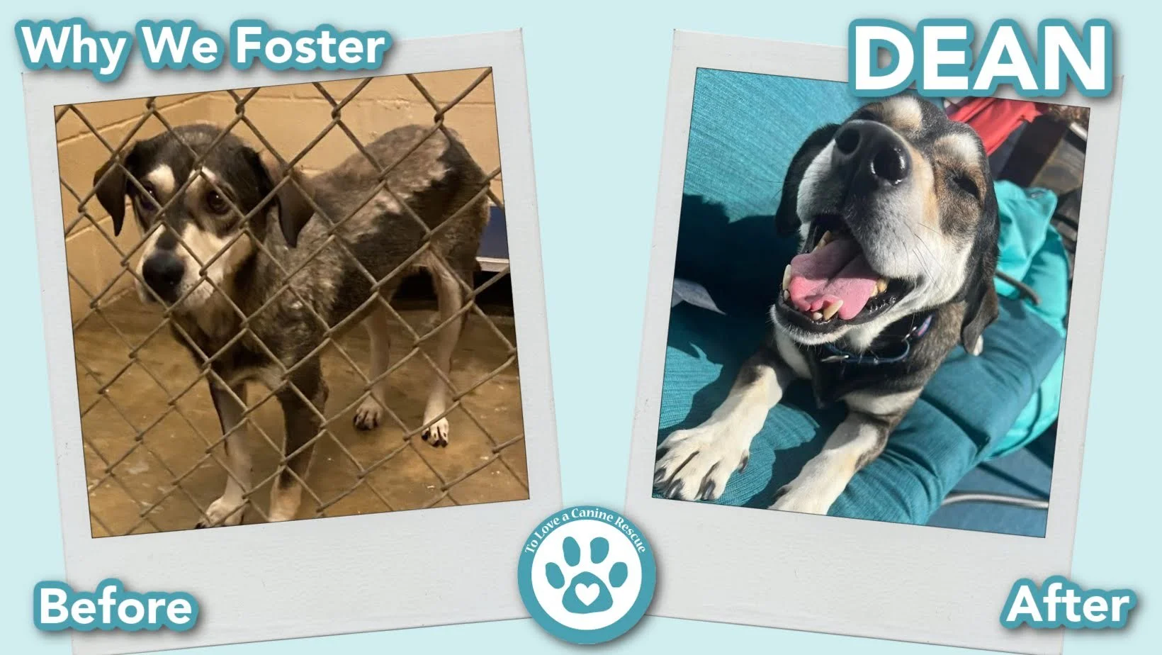 donate-gallery-Dean (Before&After) - for website  copy (3).jpg