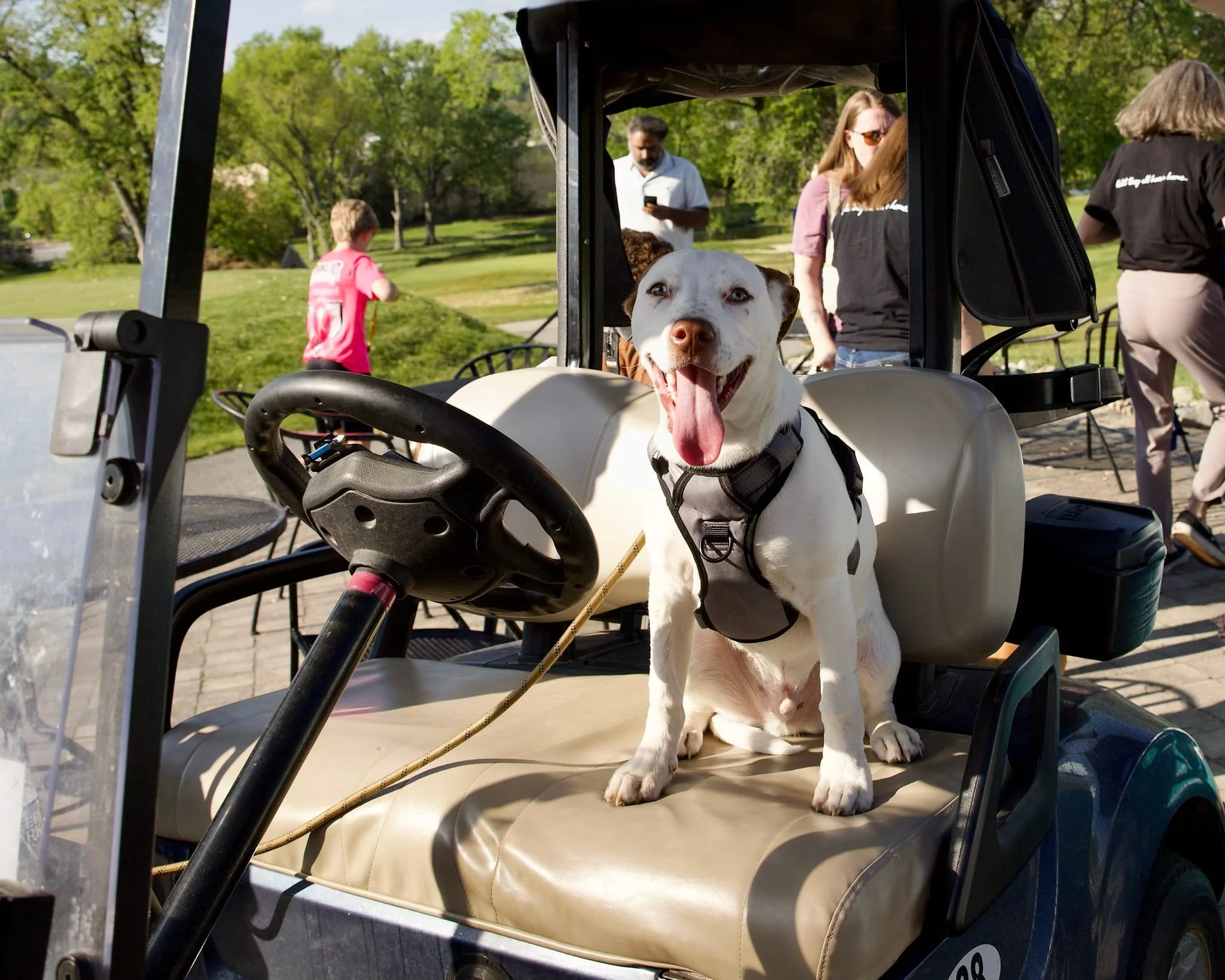 putts-for-pups-event-photos-gallery-Putts for Pups 11.jpg