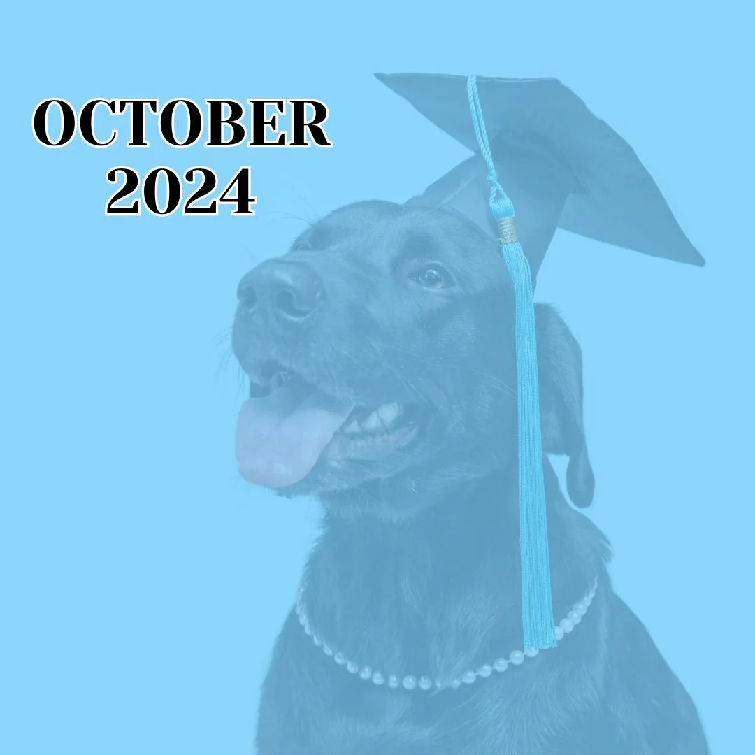 TLC October 2024 Newsletter