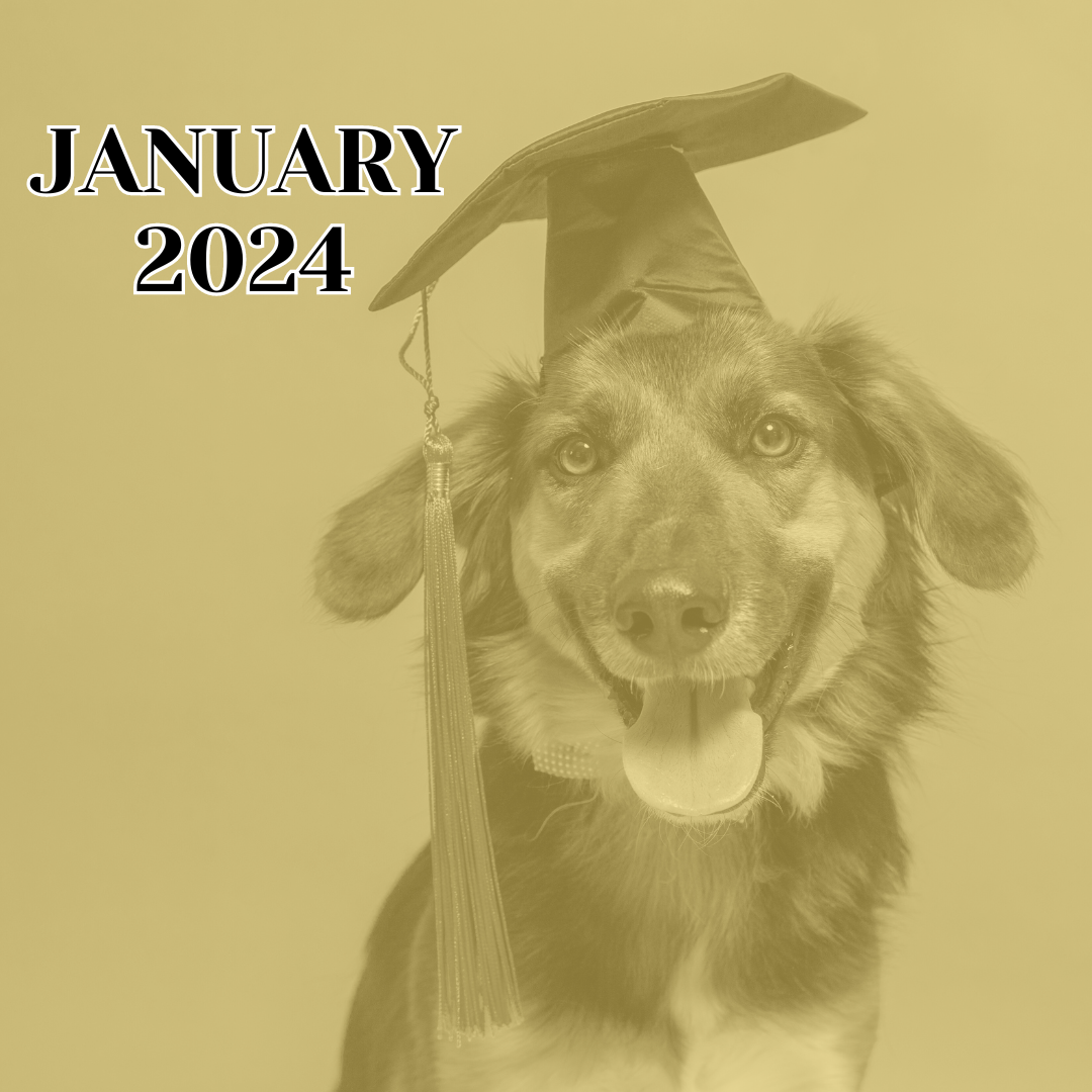TLC January 2024 Newsletter