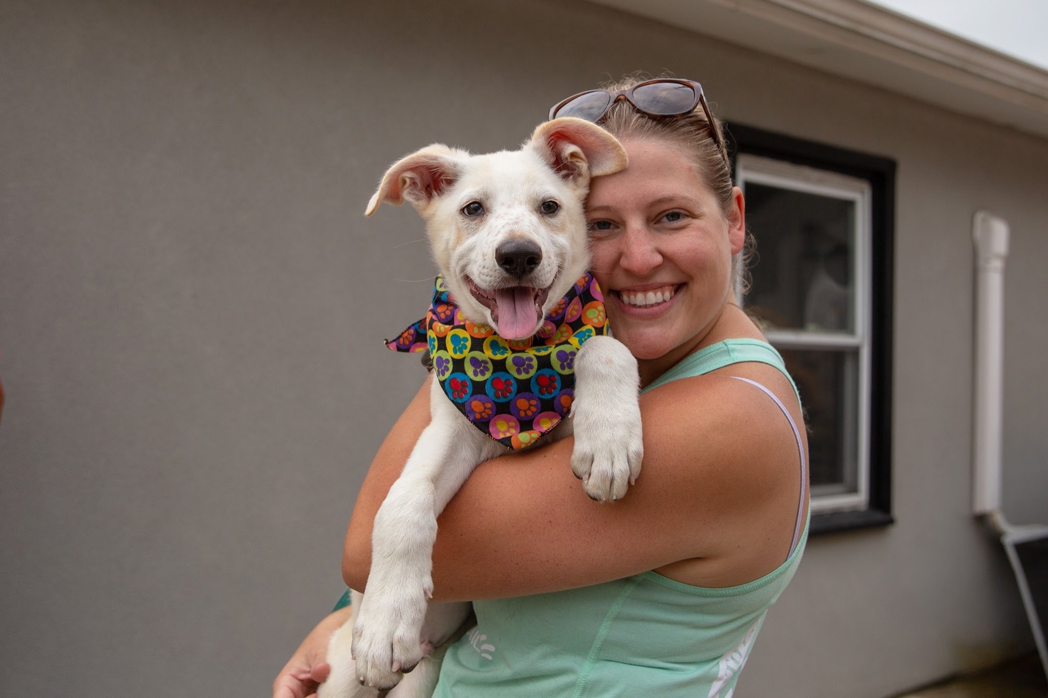To Love a Canine Rescue, Inc. To Love a Canine Rescue, Inc.