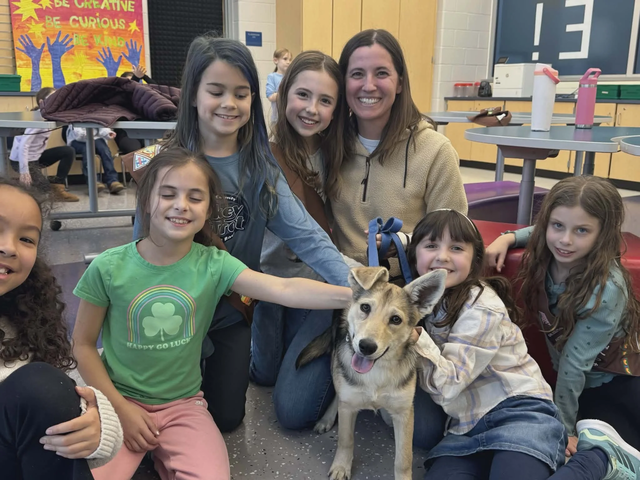 adoption-process-banner-528360781_788028660239708_7733101159718686527_n (4).jpg