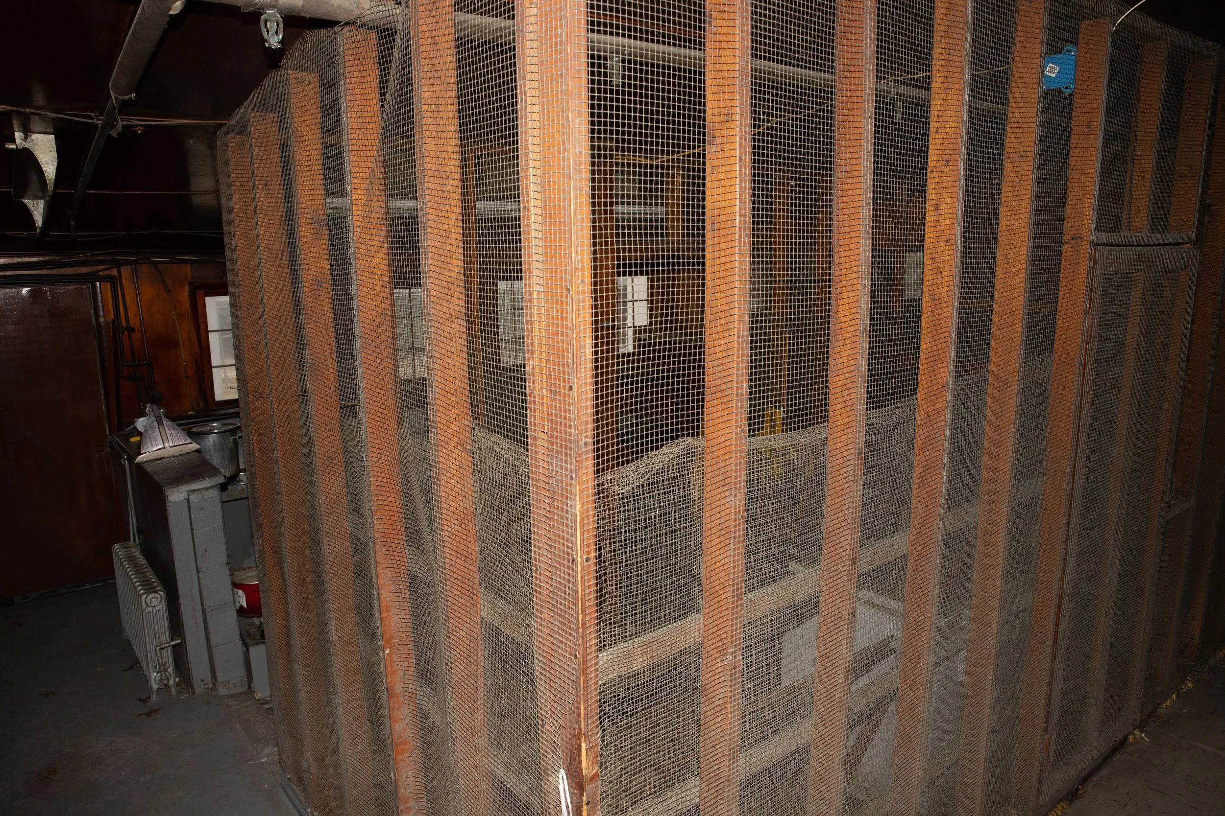 reimagining-rescue-gallery-Property 2 - 10.jpg