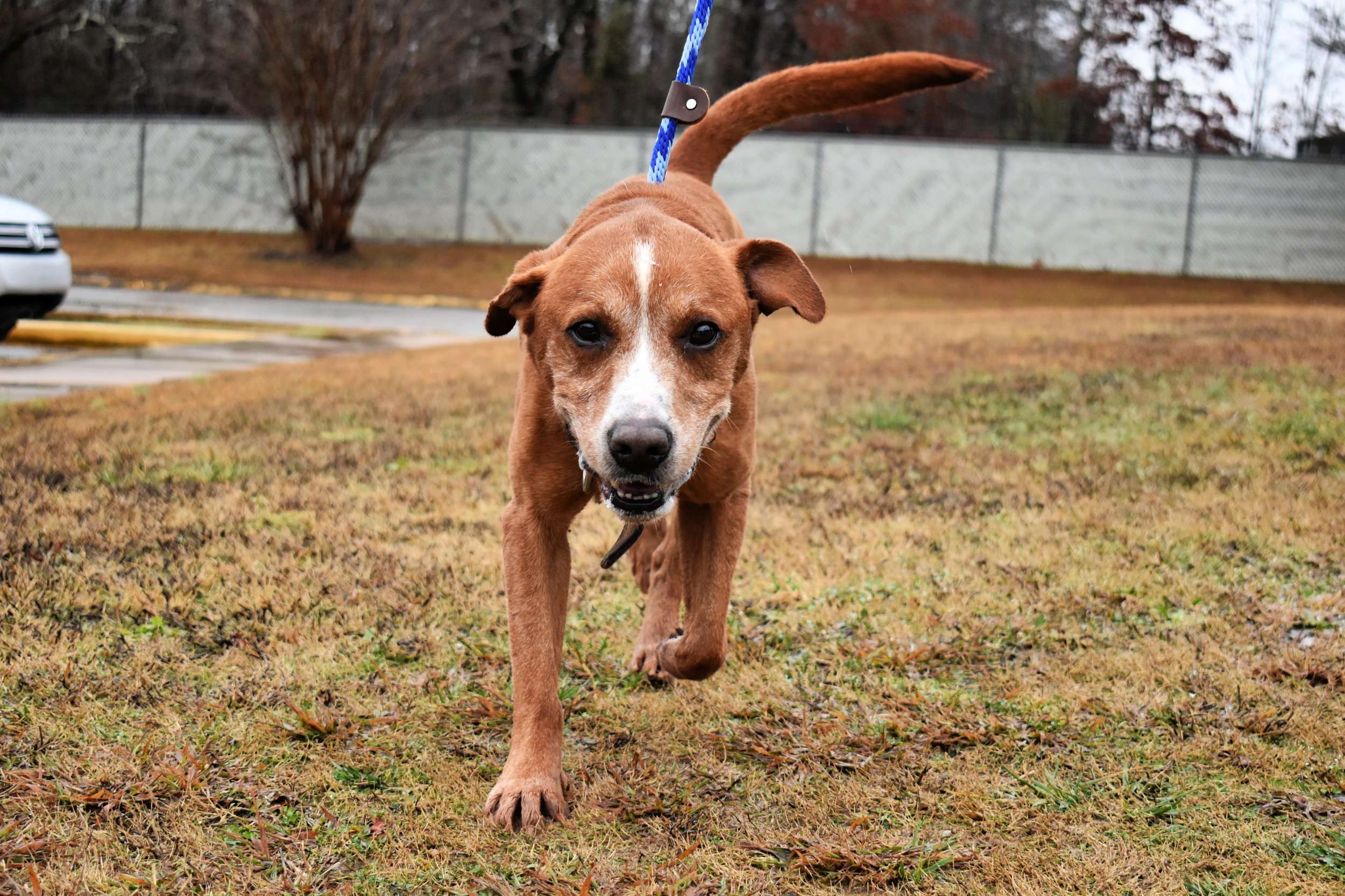 tails-from-corinth-2024-gallerybottomofpage-Hopper 6.jpg