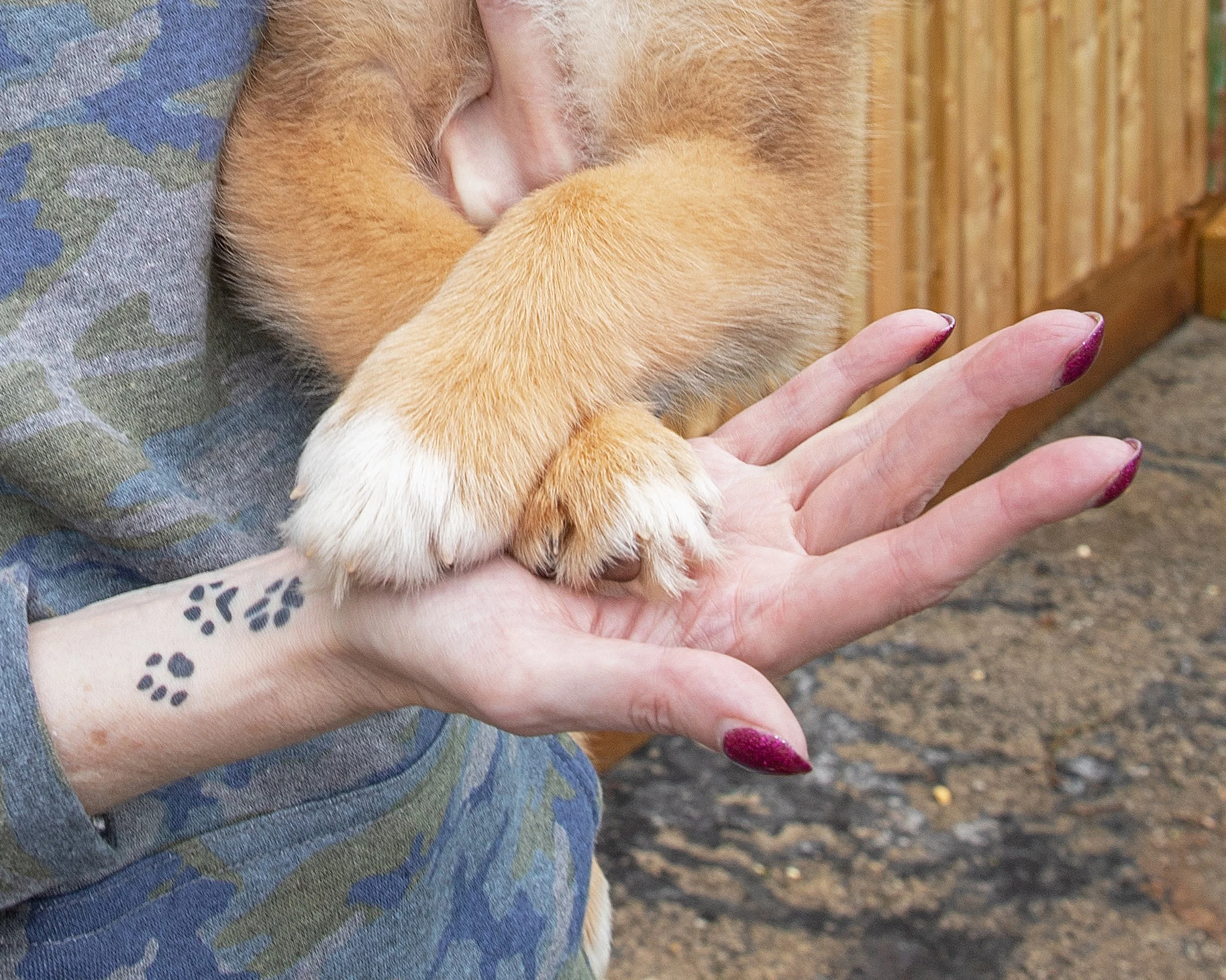 Tucker 3 cropped copy.jpg