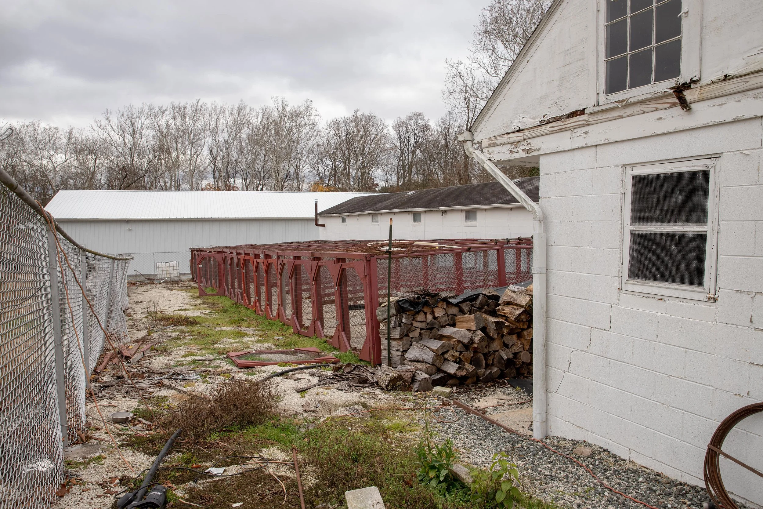 reimagining-rescue-body-Property 2 - 3.jpg