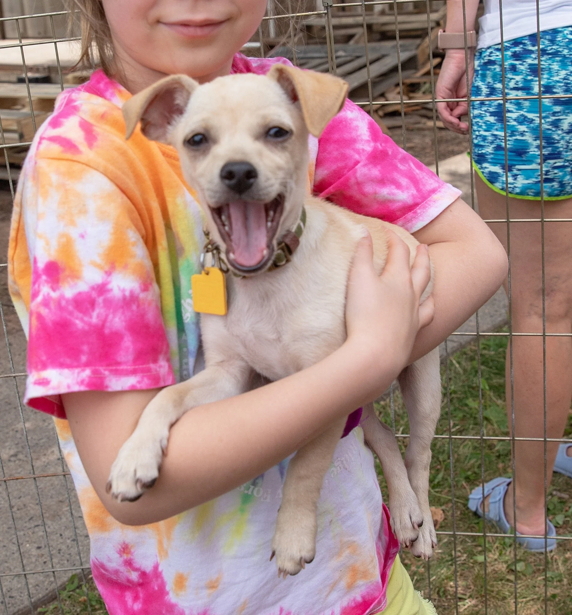 puppypalooza-gallery-IMG_6285.jpg
