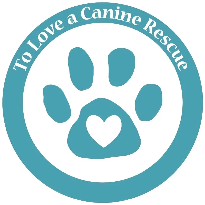 
TLC Rescue main logo - teal (JPG)