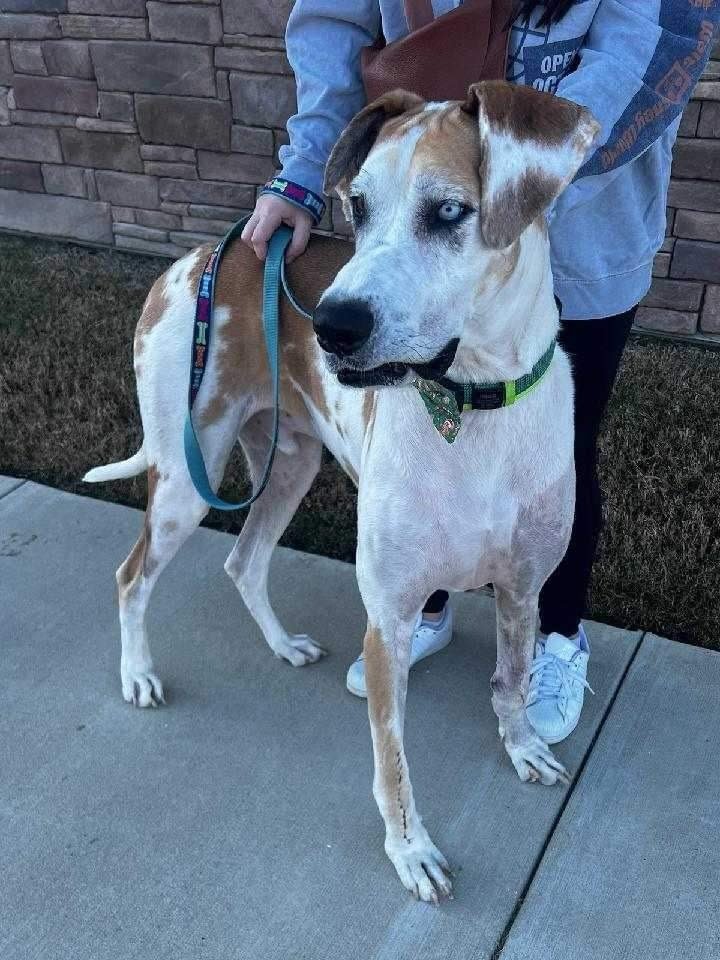 Image 720.0x960.0 (1).jpg