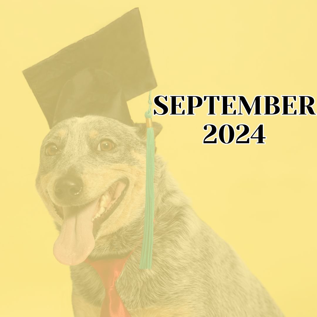 TLC September 2024 Newsletter
