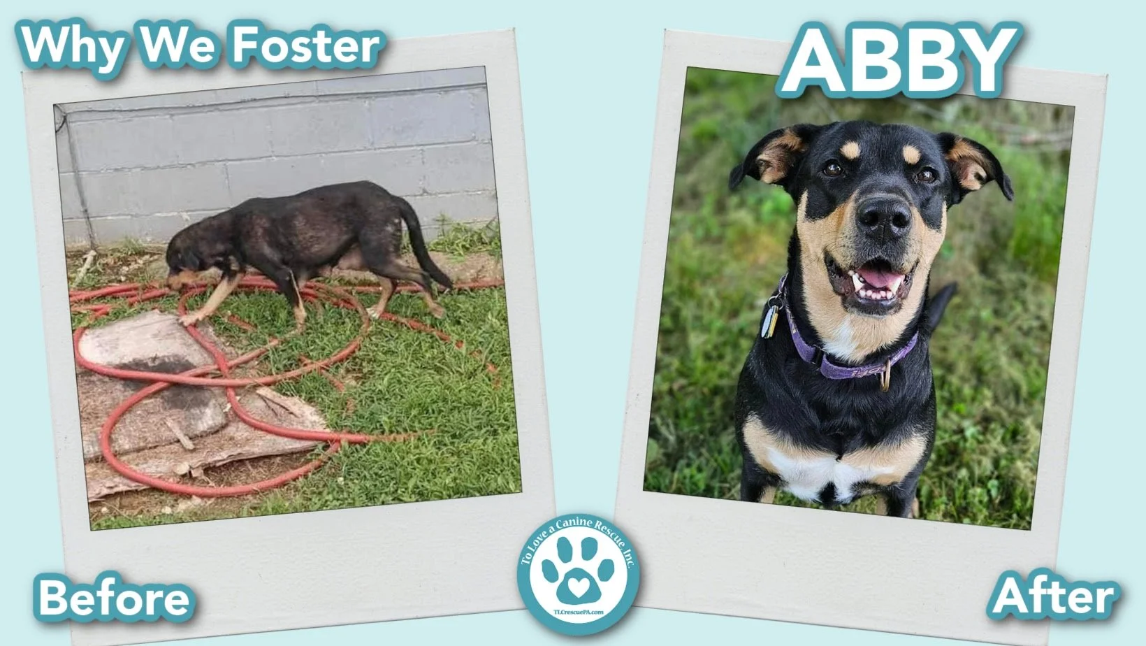 foster-gallery-Abby DD FOSTER PUSH (Before&After) - for website copy.jpg