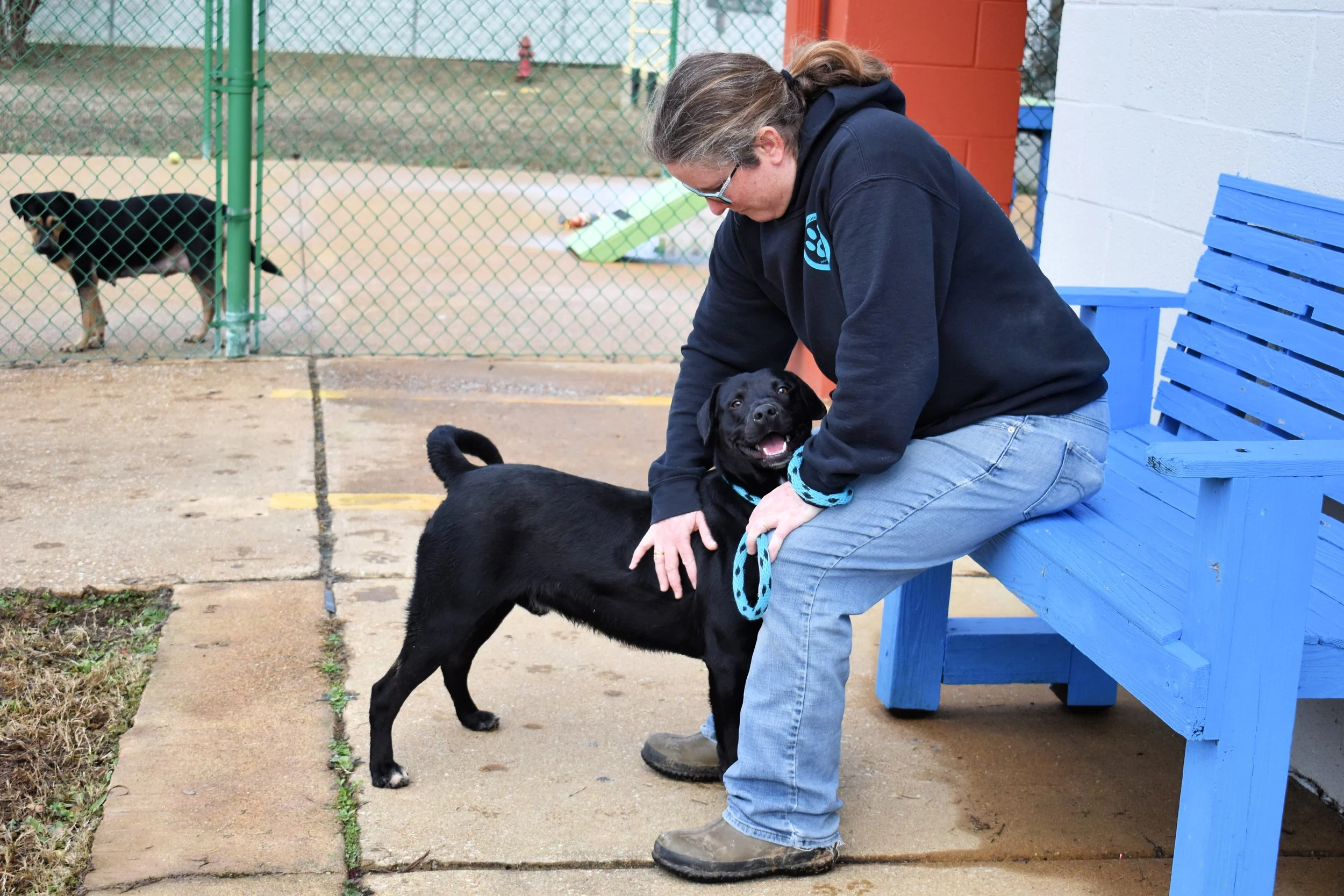 tails-from-corinth-2024-gallerybottomofpage-Mckenzie 1 Edited.jpg