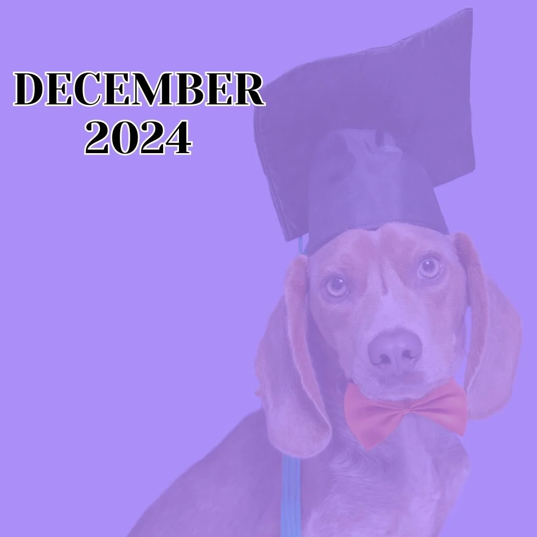 TLC December 2024 Newsletter