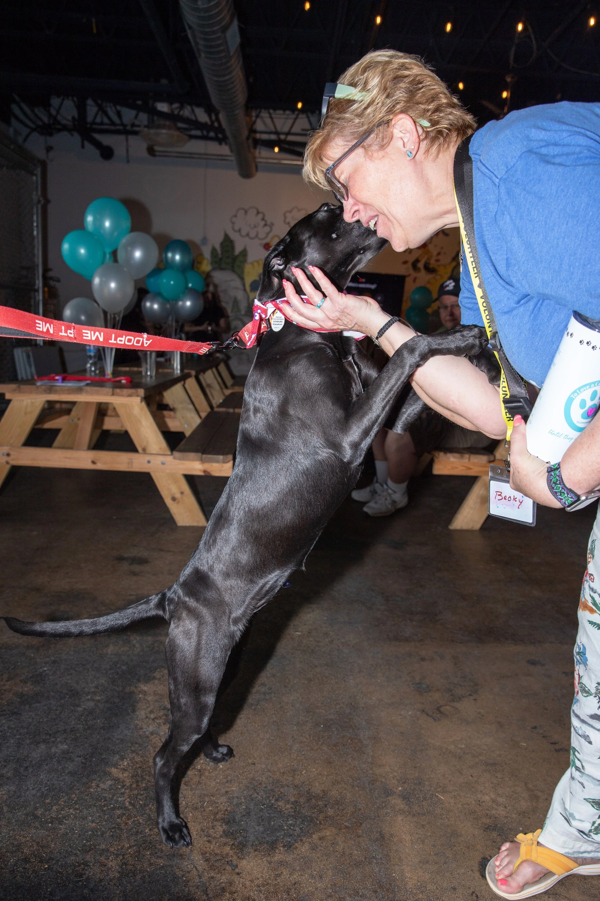 puppypalooza-gallery-Nattie 5 (3).jpg