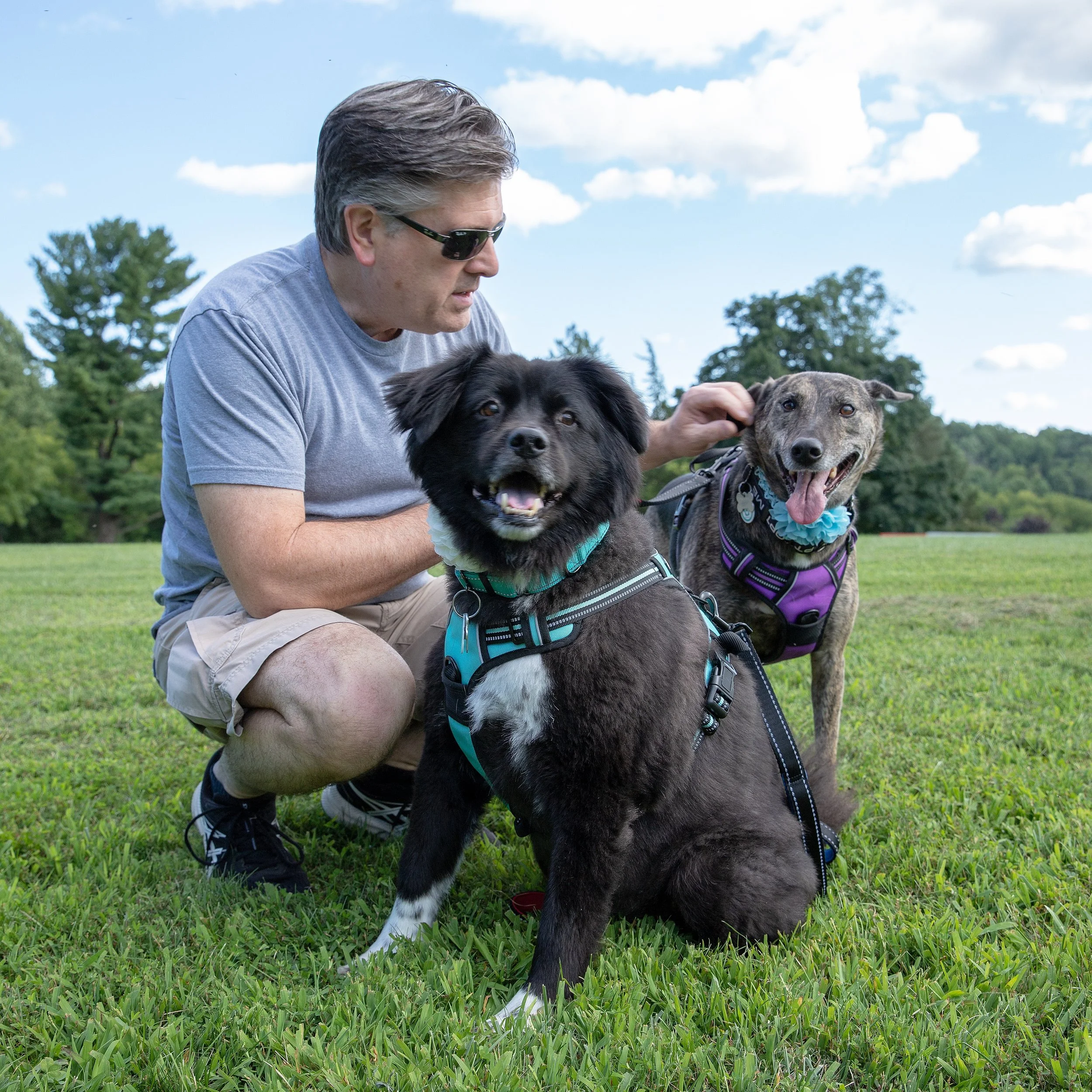 press-images-gallery-TLC Rescue Foster 2.jpg