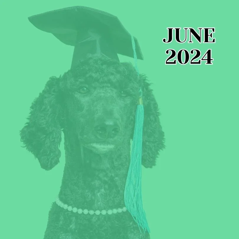 TLC June 2024 Newsletter
