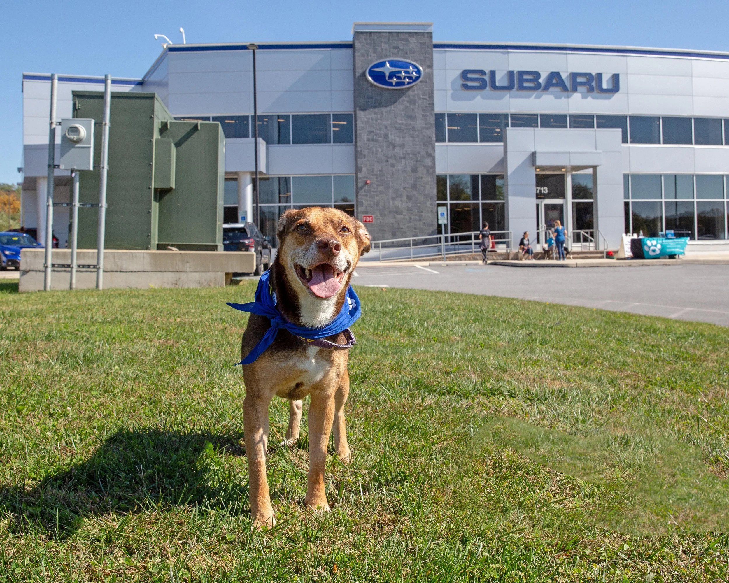 sponsor-banner-Subaru - Brent-min.jpg