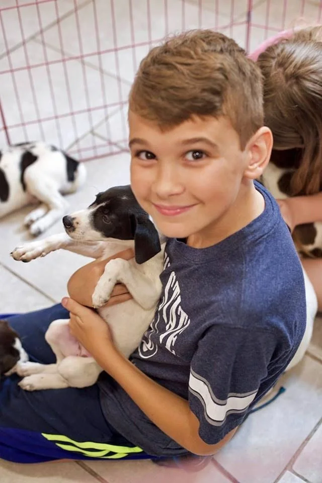 junior-volunteers-banner-Puppy pen.jpg