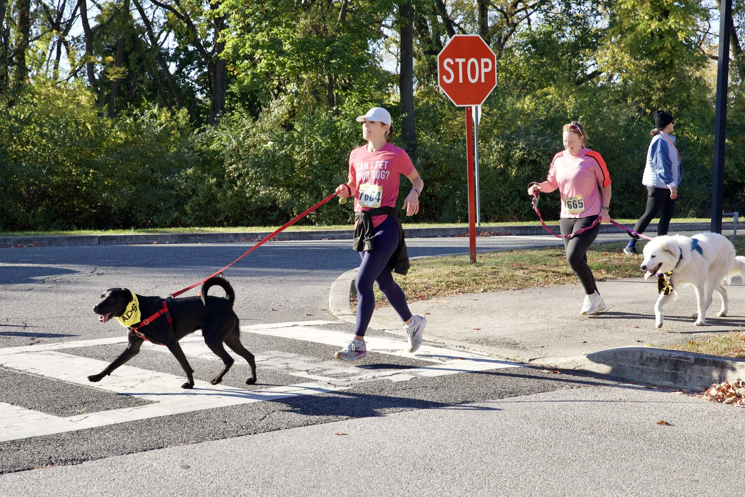 milesformutts-gallery-Miles for Mutts 2024 5k 9.jpg