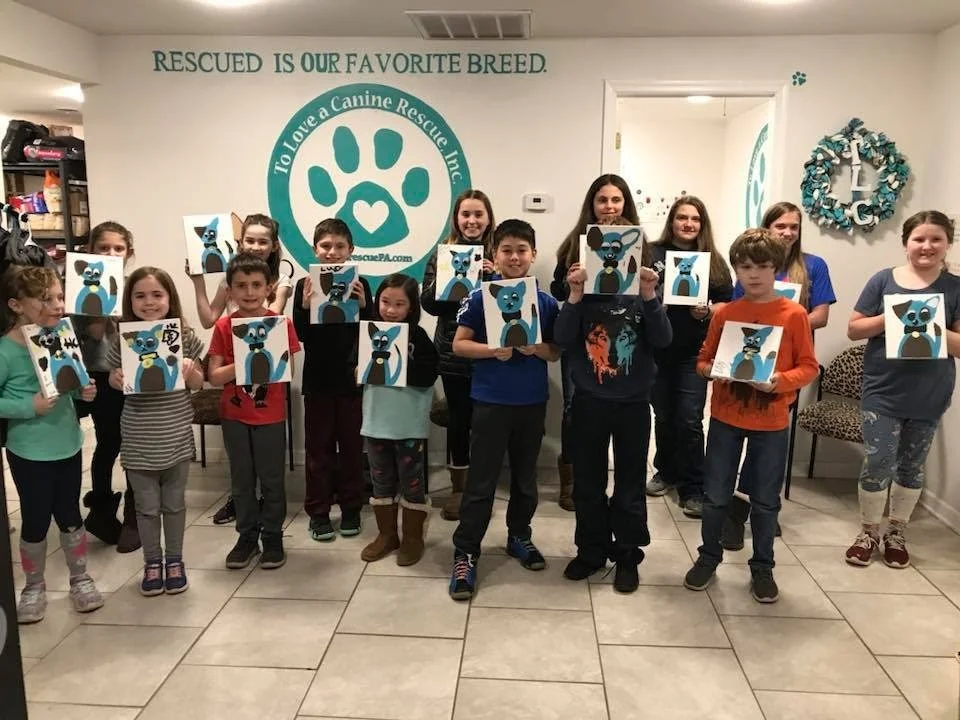 junior-volunteers-banner-mp22.jpg