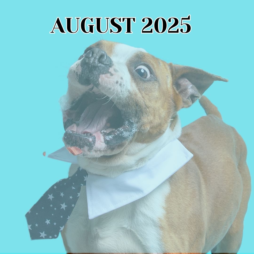 TLC August 2025 Newsletter