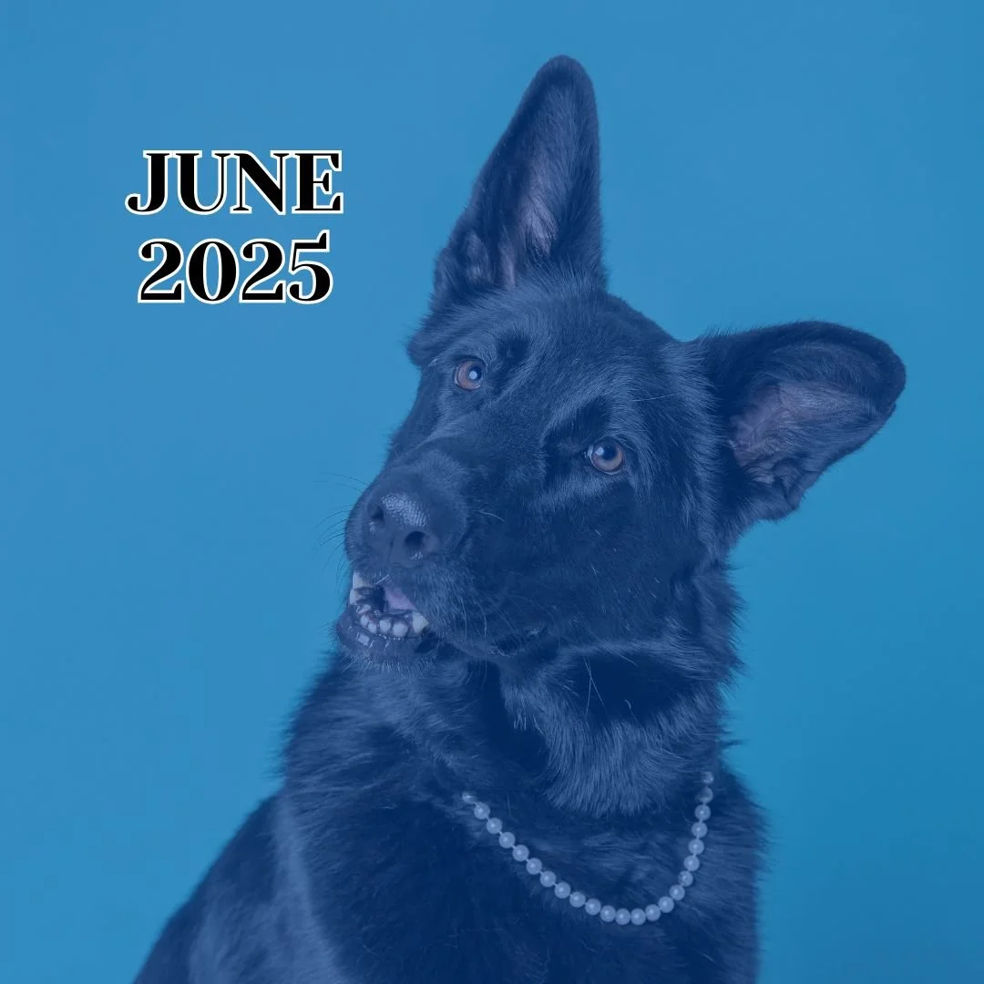 TLC 2025 June Newsletter