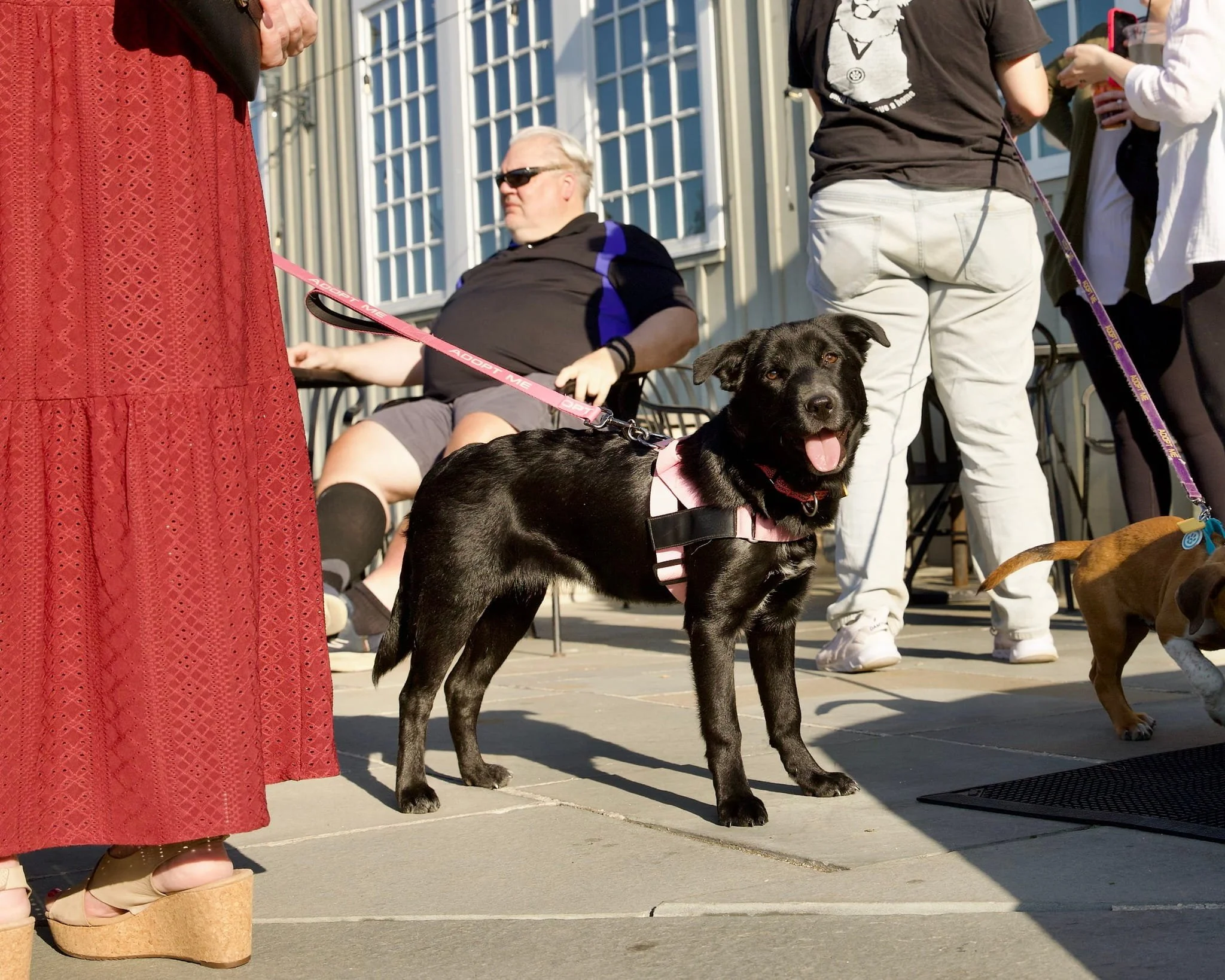 putts-for-pups-event-photos-gallery-Putts for Pups 42.jpg